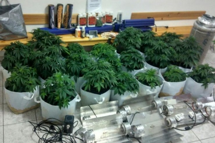 Σε κατάσταση σοκ Κύπριος της showbiz: Συνέλαβαν τον γιo του με 460 φυτά κάνναβης