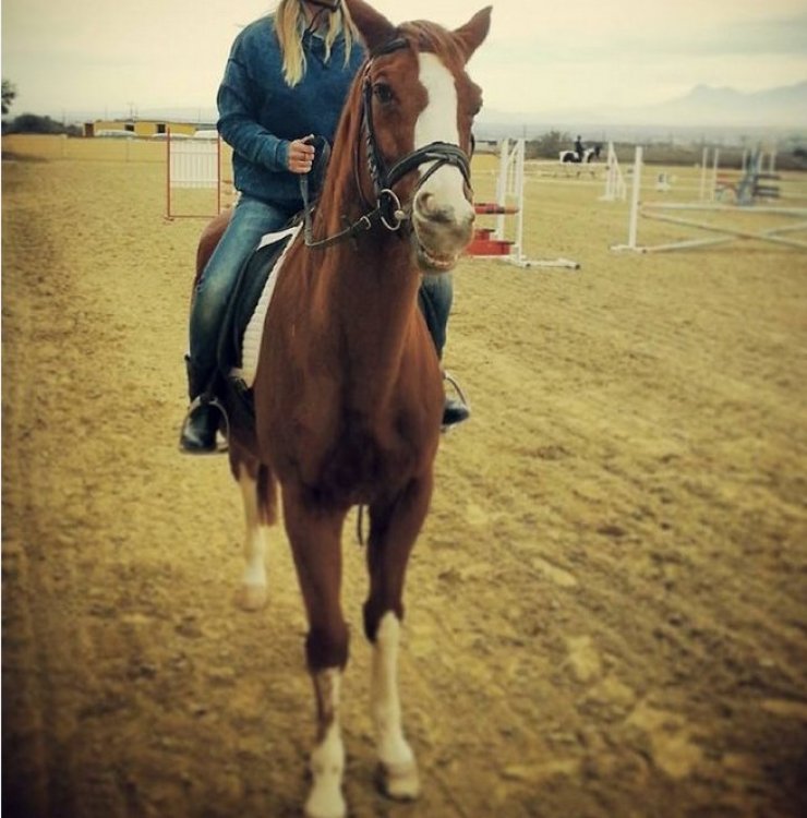 Ποια Κύπρια παρουσιάστρια έκανε το πρωί ιππασία