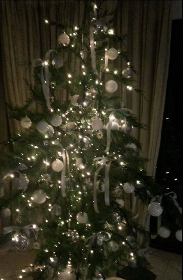 Kύπρια παρουσιάστρια: Πως στόλισε το χριστουγεννιάτικο δέντρο της;