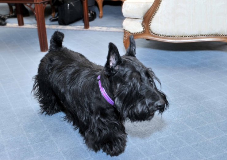 Ο Λίο ποζάρει!