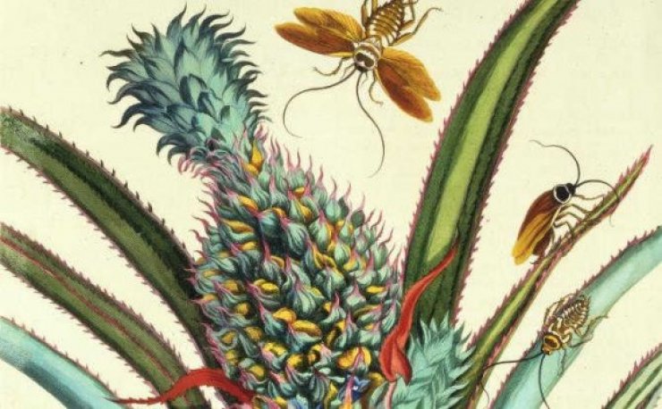 Ποια τιμά σήμερα η Google στο Doodle της