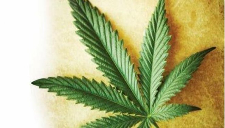 Οι «New York Times» λένε «ναι» στη μαριχουάνα