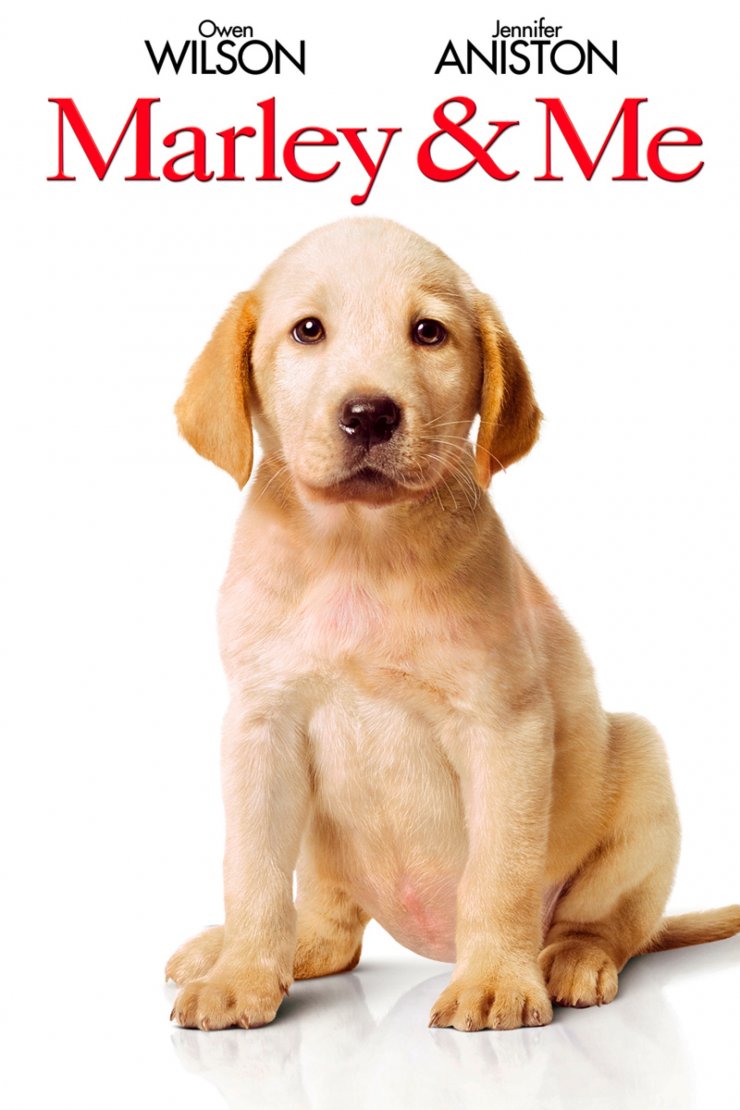 6 ταινίες για σπαρακτικό κλάμα 