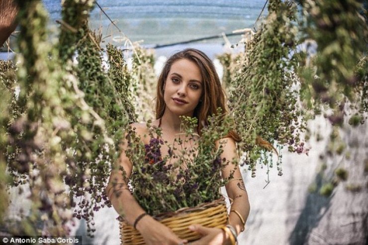 Τα superfoods των Αρχαίων Ελλήνων