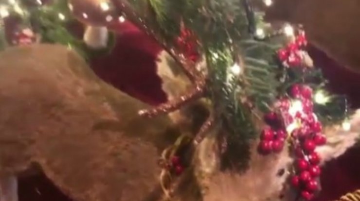 Το δέντρο υπερπαραγωγή που στόλισε επώνυμη Ελληνίδα! [βίντεο]