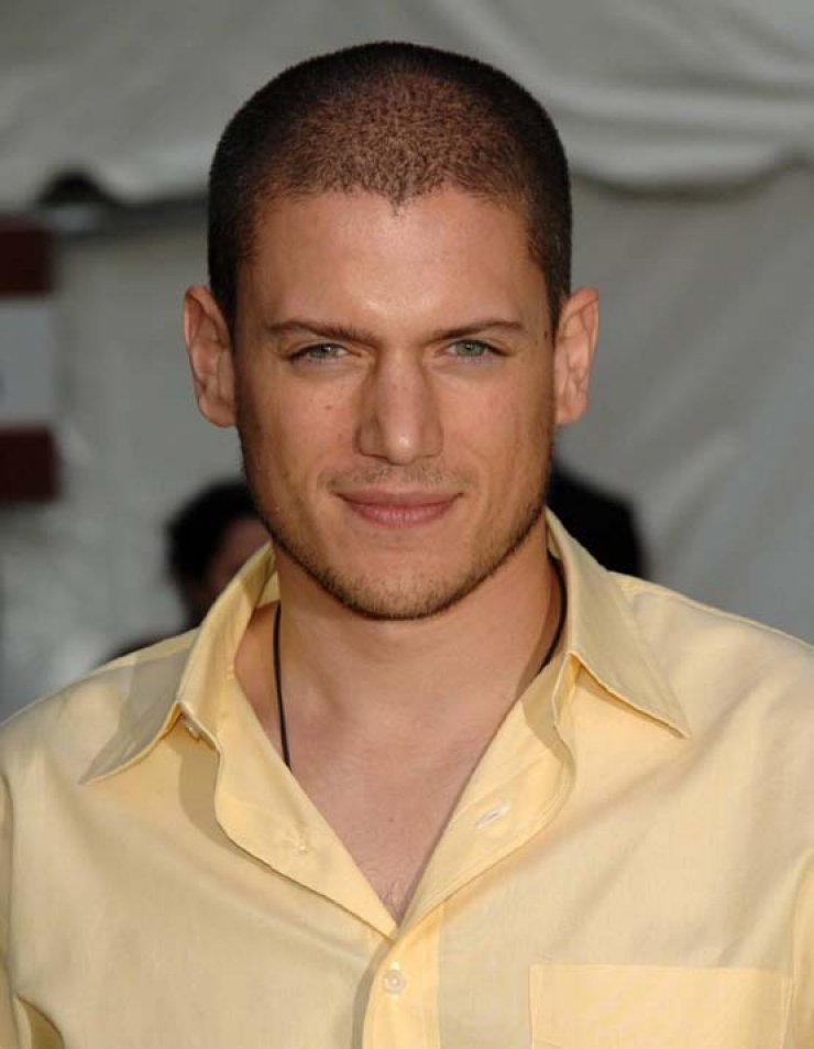 Wentworth Miller: Ο διάσημος Prison Break είπε πως είναι gay!