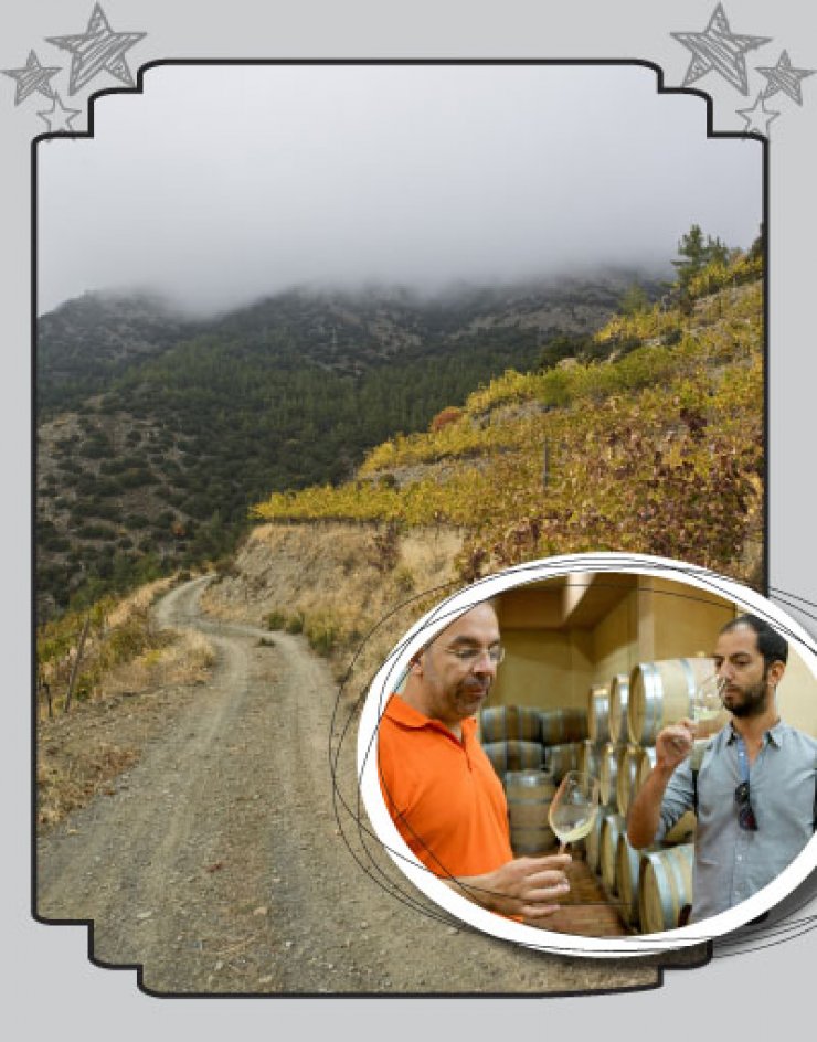 Στον υψηλότερο αμπελώνα της Ευρώπης