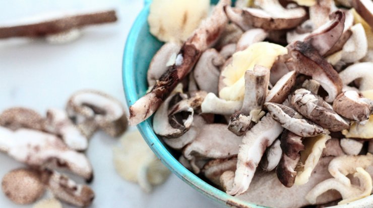 Φέτος θα πας στη Γιορτή του Μανιταριού