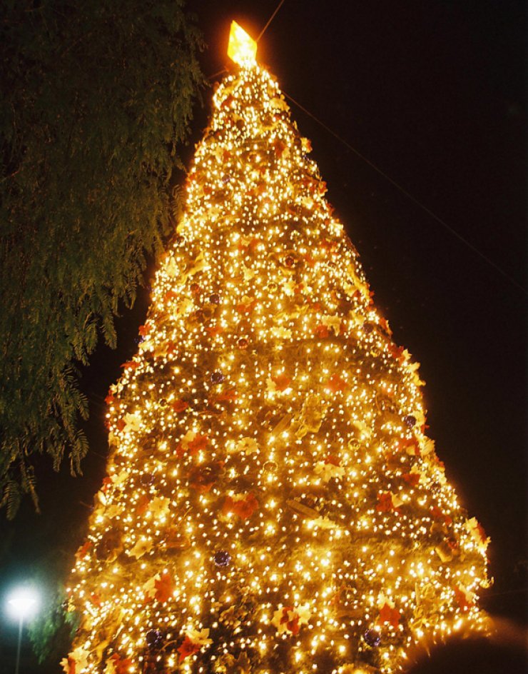 Χριστούγεννα στη Λευκωσία