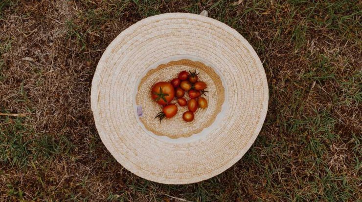 Η μεγάλη διατροφική αξία της ντομάτας