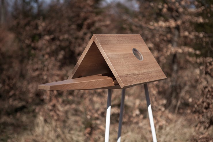 Φωλιά για τα πουλιά