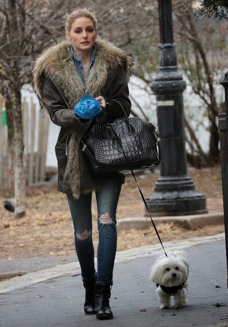 Parka: Τα πιο cool πανοφόρια