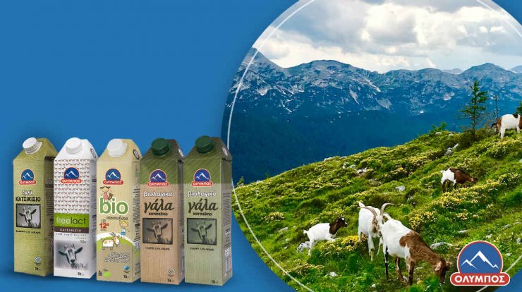 Ανακάλυψε την γκάμα κατσικίσιων προϊόντων της ΟΛΥΜΠΟΣ