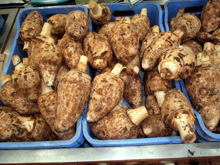 Τριαντάφυλλο και κολοκάσι σε Ευρωπαική τροχιά 