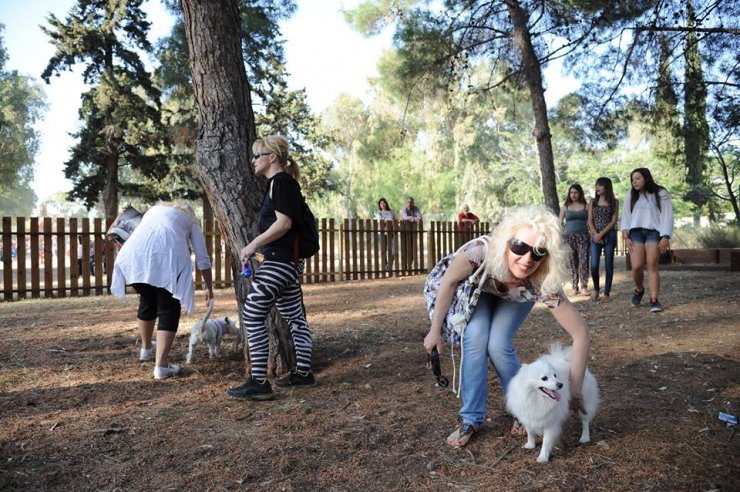 Έρχεται πάρκο για σκύλους στον Αρχάγγελο!