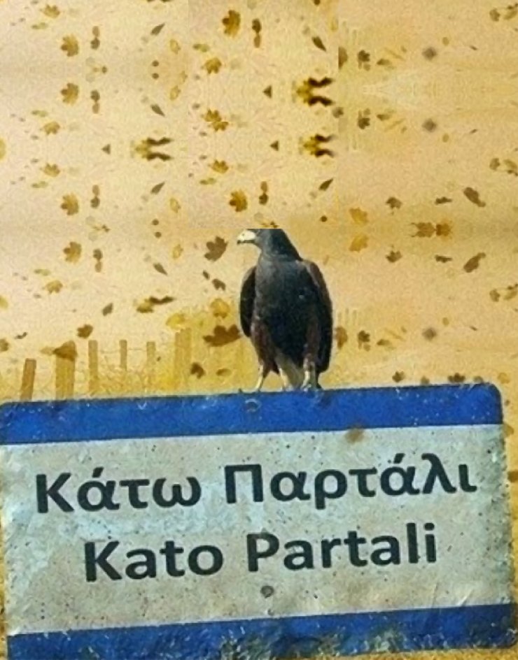 Πρωταγωνιστής σε ταινία gay περιεχομένου ηθοποιός του "Κάτω Παρτάλι" [εικόνες + βίντεο]