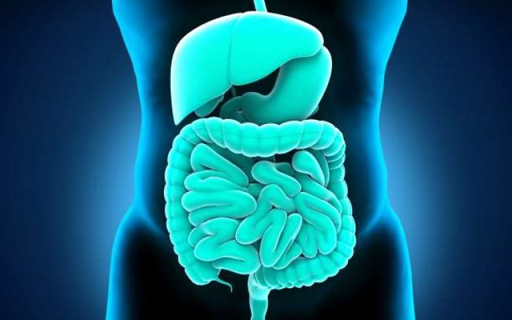 10 εργαλεία για να αρχίσετε να αντιστρέφετε το αυτοάνοσο νόσημά σας