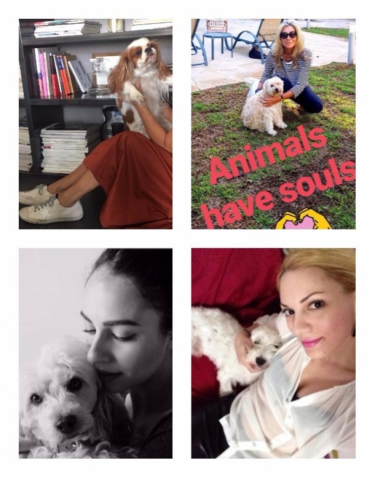 Εκπρόσωποι της κυπριακής showbiz πόζαραν με τα σκυλάκια τους για την Παγκόσμια Ημέρα Ζώων