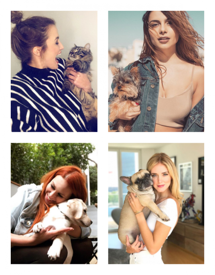 5 celebrities που έφτιαξαν λογαριασμό στο instagram για τα κατοικίδιά τους!