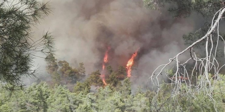 Απώλεια χρόνου προκύπτει από την Έκθεση για την πυρκαγιά