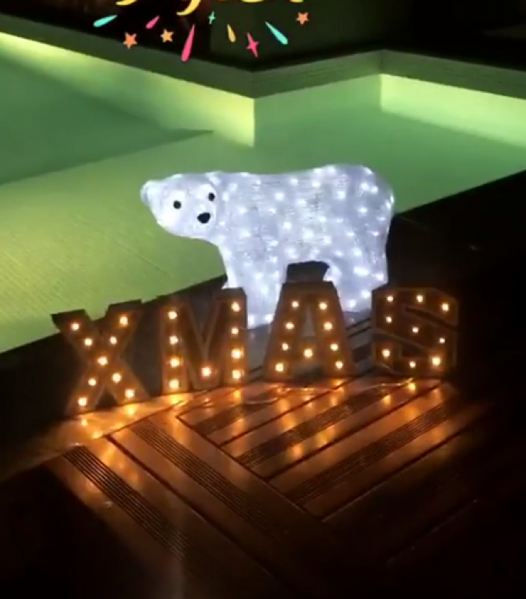 Επώνυμος Κύπριος στόλισε το χριστουγεννιάτικό του δέντρο δίπλα από την πισίνα του σπιτιού του!