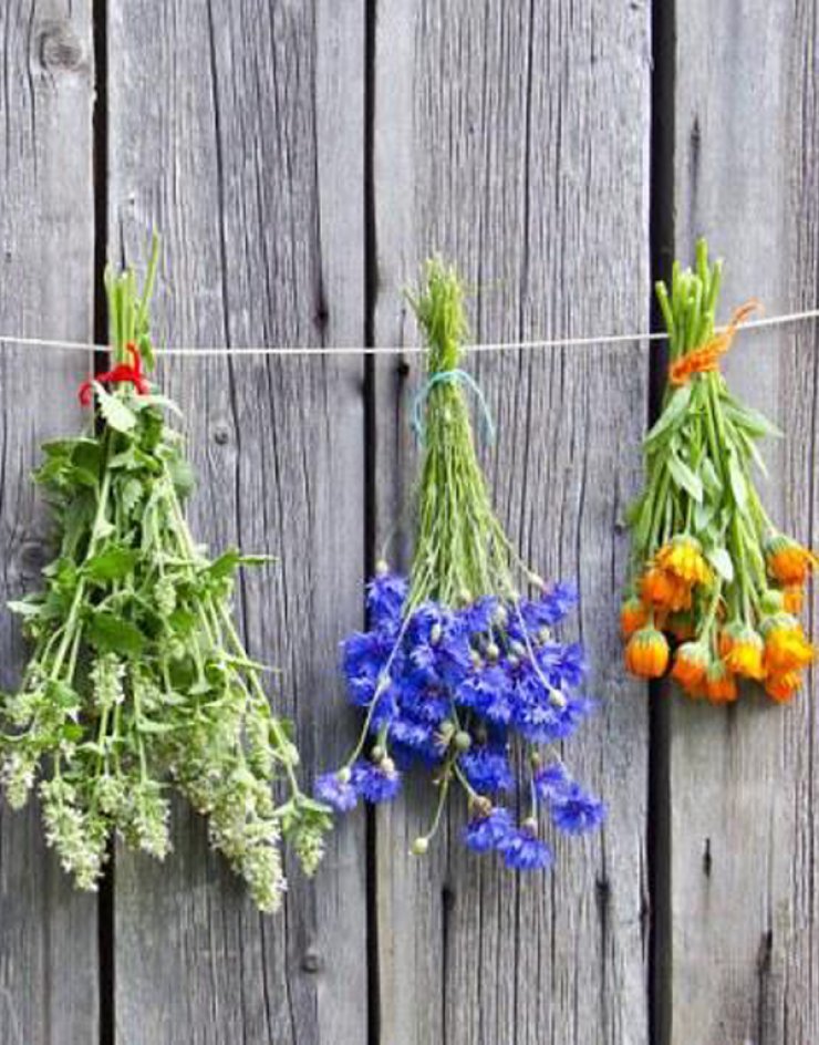 Ας μιλήσουμε για βότανα στις Πλάτρες