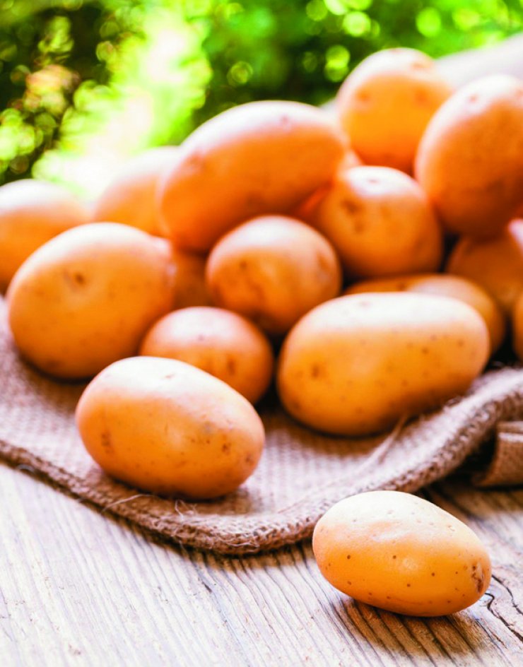 4ο Παγκύπριο Φεστιβάλ Πατάτας στο Αυγόρου