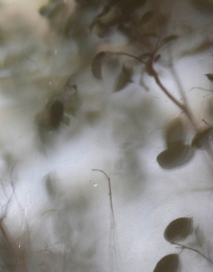Μία παράσταση που έρχεται σπίτι σου