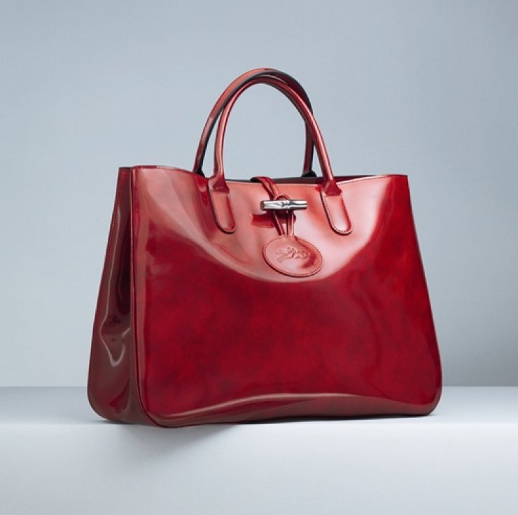 Roseau box by Longchamp