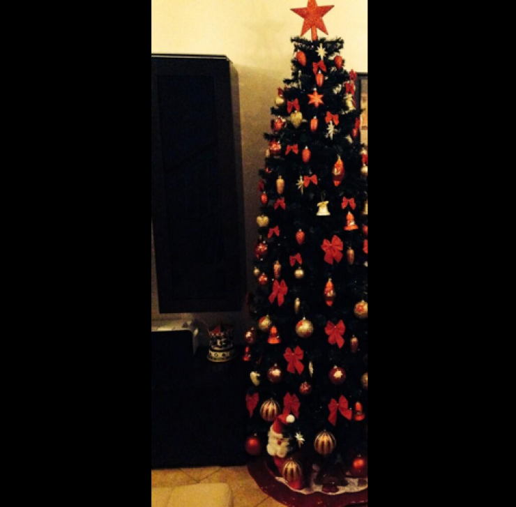 Ποιο διάσημο ζευγάρι της στόλισε το Χριστουγεννιάτικό του δέντρο;