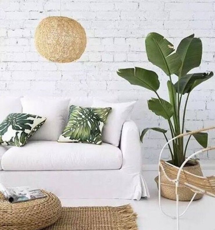 Το modern tropical είναι tropi-cool! Έτσι δεν είναι;