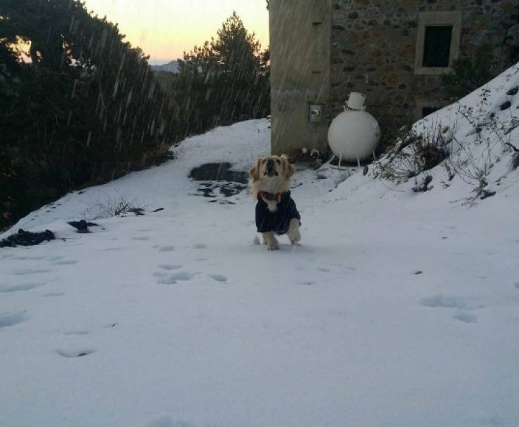 Αυτή είναι η πιο όμορφη φωτογραφία που είδαμε στους λογαριασμούς των social media επώνυμων Κυπρίων σήμερα!