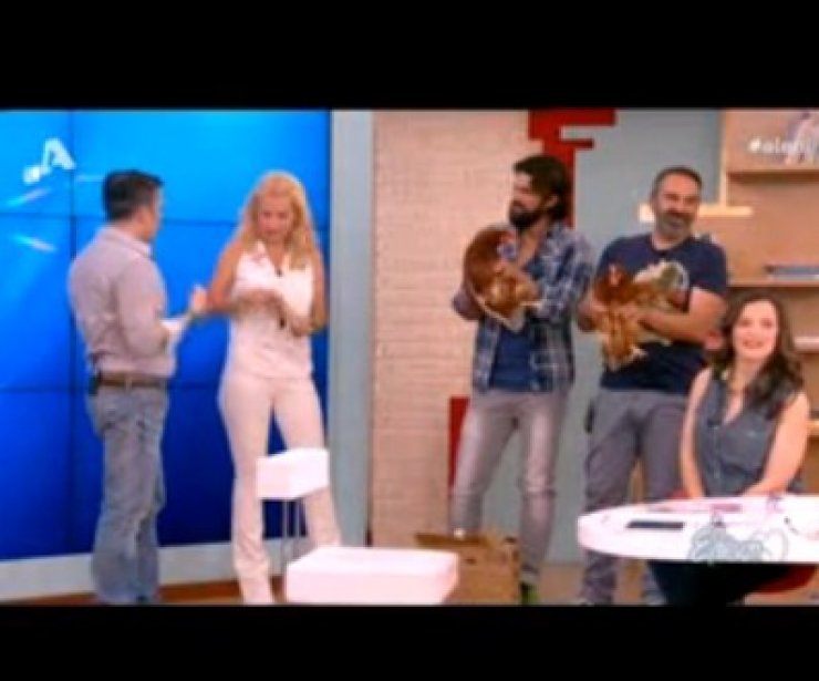  Γέμισε το πλατό κότες και η Μενεγάκη ήθελε να βάλει τα κλάματα [βίντεο]