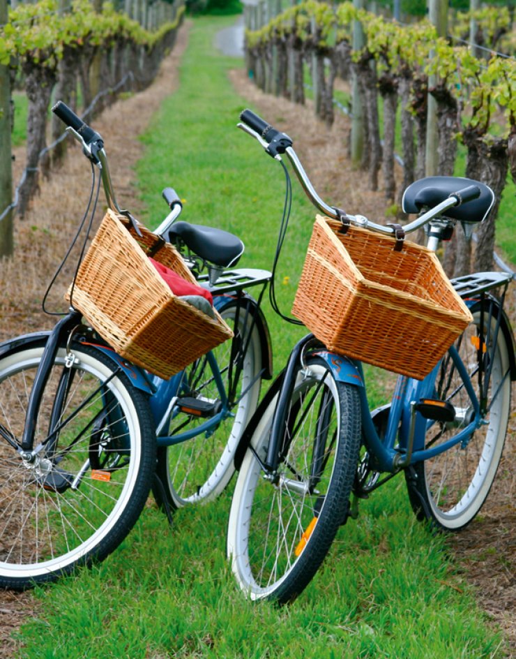 Πάρε το ποδήλατο και πάμε tour στα κρασοχώρια του νησιού