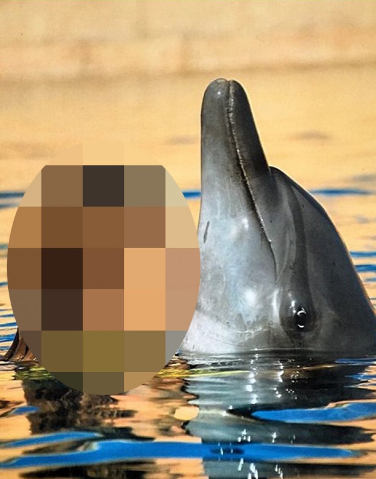 Ποια Κύπρια ανέβασε αυτή τη φωτογραφία στα social media;