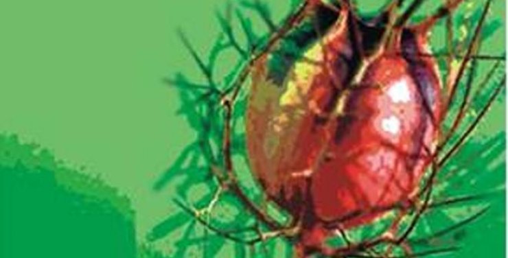 Καθαρά Δευτέρα στο πάρκο του Αγίου Γεωργίου Αθαλάσσας