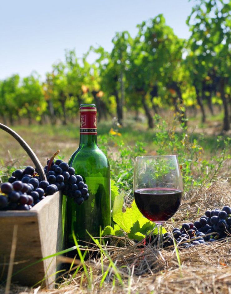 Πάμε διήμερη εκδρομή γευσιγνωσίας στην Πάφο