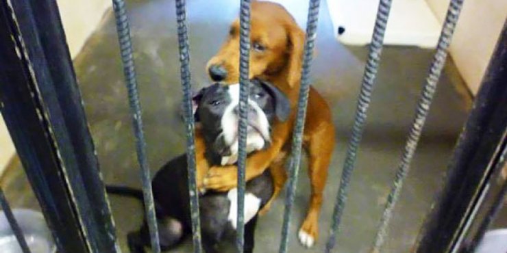 Αυτή η φωτογραφία τους έσωσε τη ζωή!