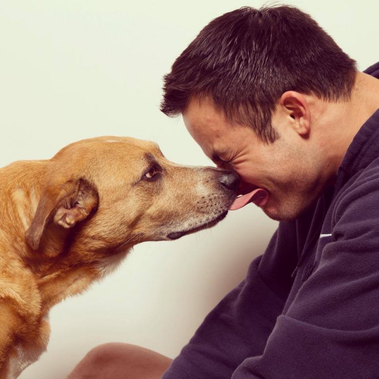 Επτά ασθένειες που μπορεί να κολλήσετε από τα κατοικίδια