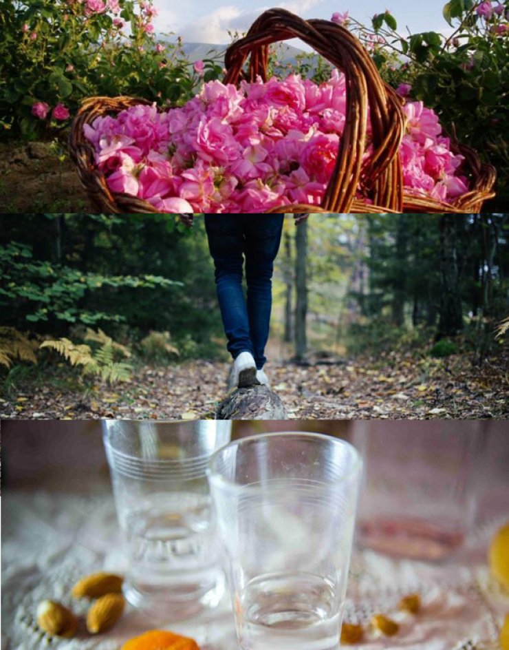 Τα 10 φεστιβάλ της άνοιξης που δεν πρέπει να χάσεις