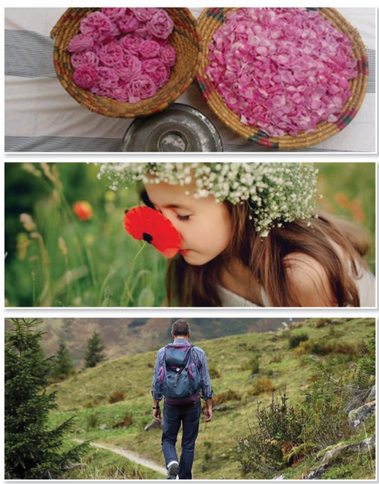 Τα 13 φεστιβάλ της άνοιξης που δεν πρέπει να χάσεις