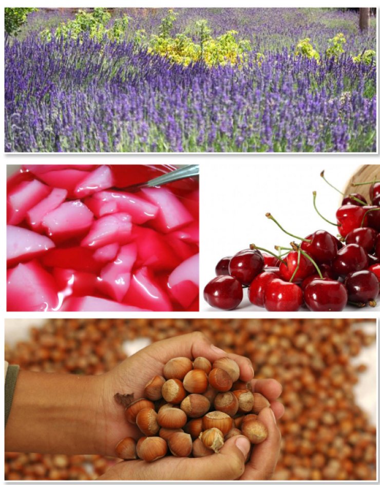 Τα 30 φεστιβάλ του καλοκαιριού που περιμένουμε με αγωνία