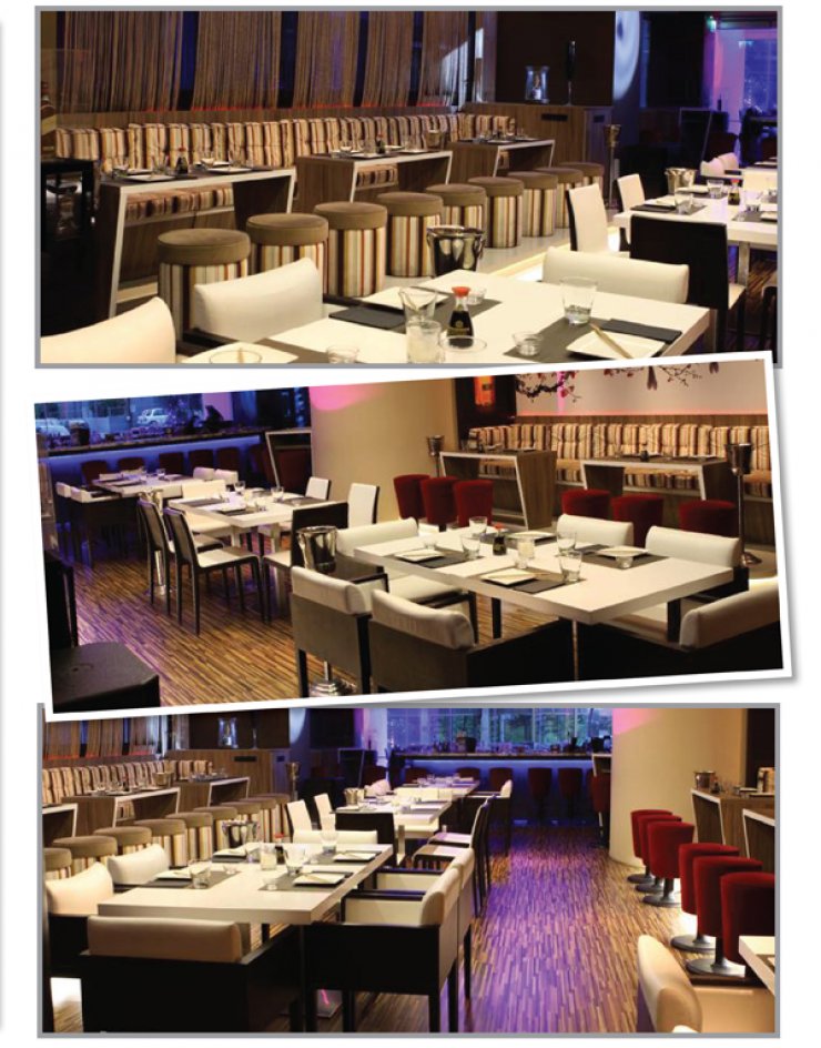 H νέα άφιξη είναι πολύ... Yumi