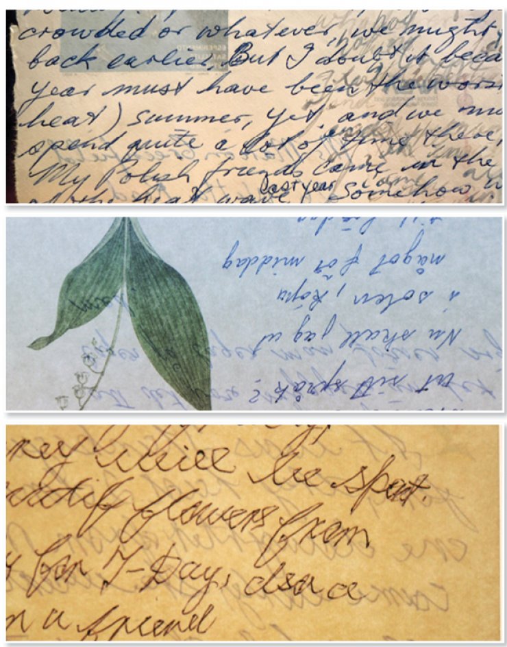 To Almyra Hotel και η Τράπεζα Κύπρου παρουσιάζουν την έκθεση "Voice of Ink"