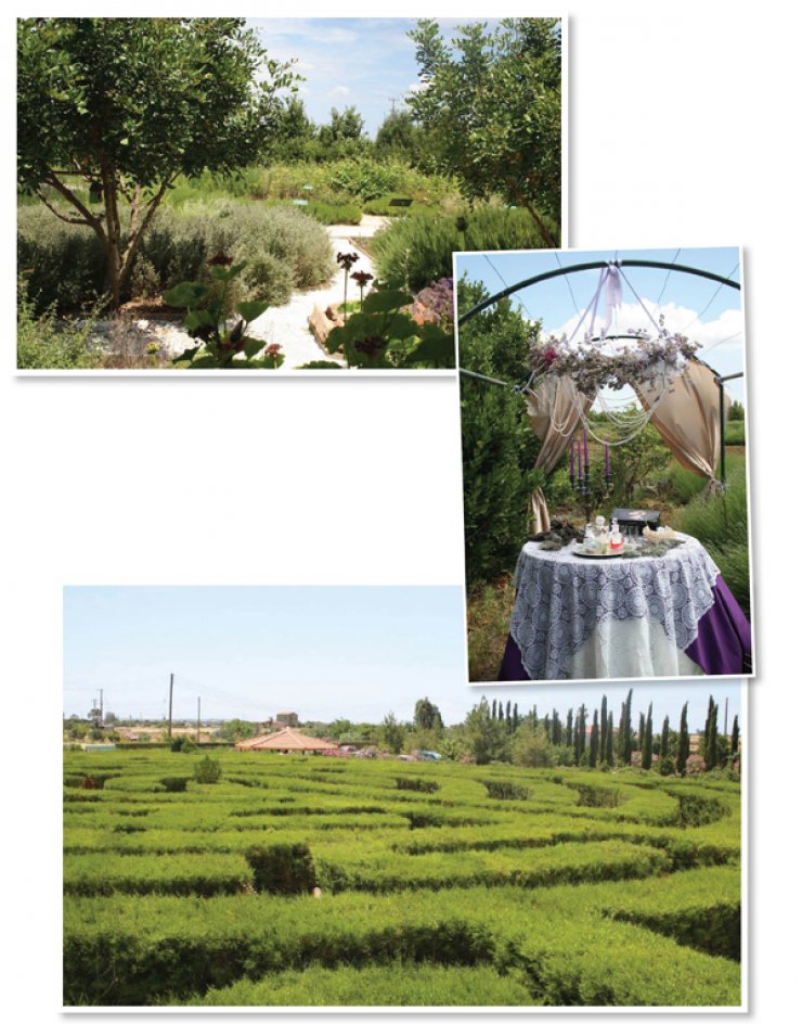 Πάμε στο πάρκο Cyherbia