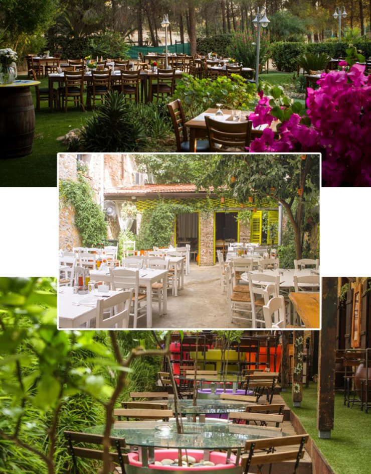 Επιστροφή στις πιο όμορφες αυλές της πόλης