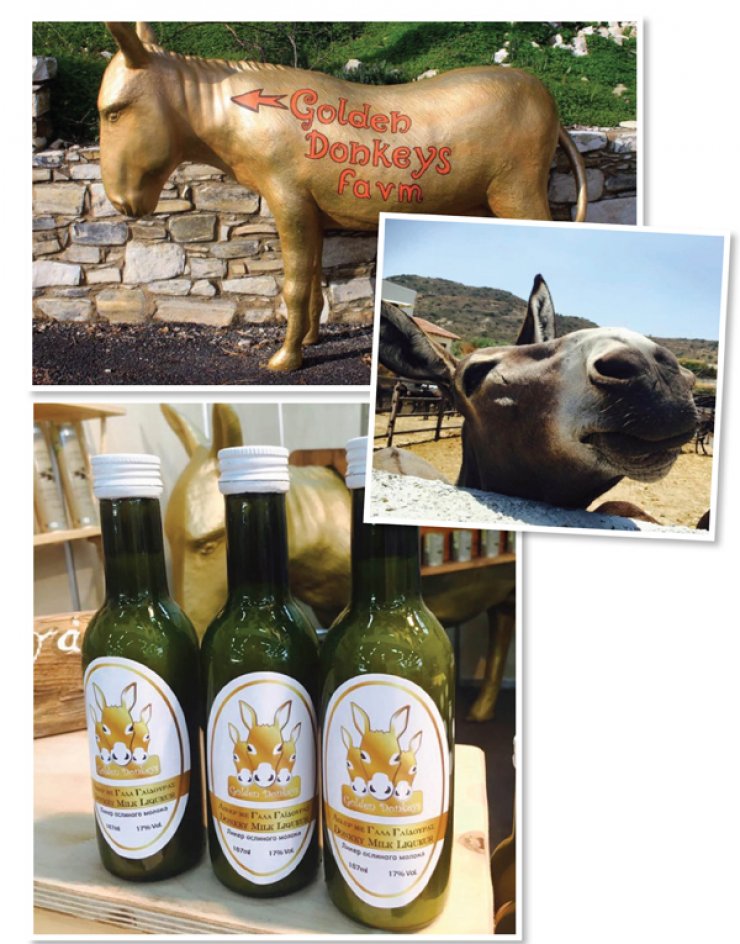 Η Golden Donkey Farm γιορτάζει τα πρώτα της γενέθλια