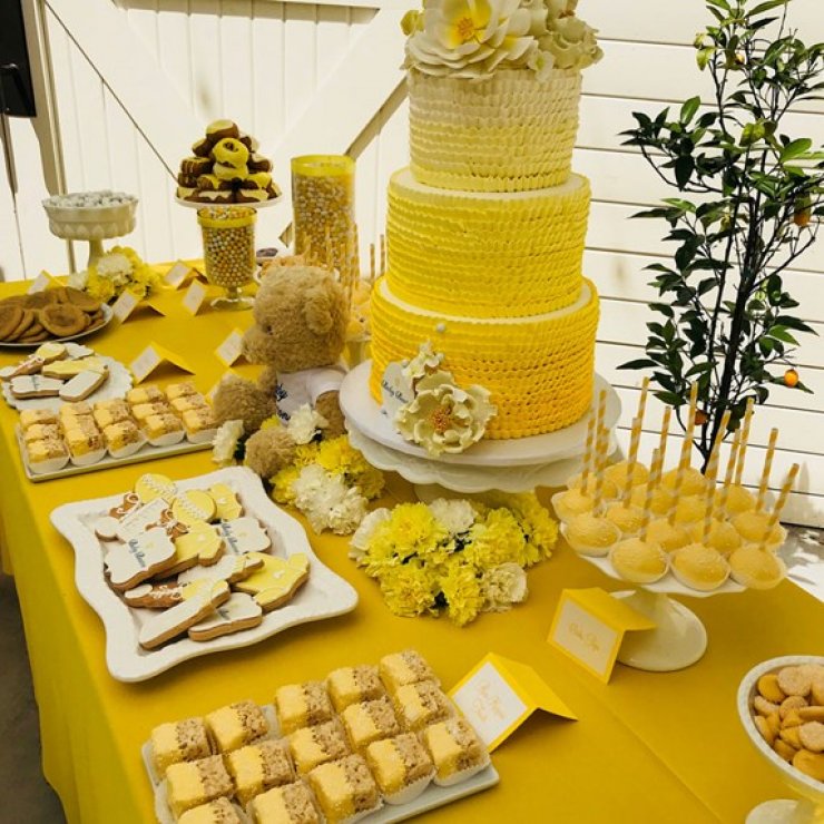 Υπέροχο! Το εντυπωσιακό και πρωτότυπο baby shower πασίγνωστης ηθοποιού