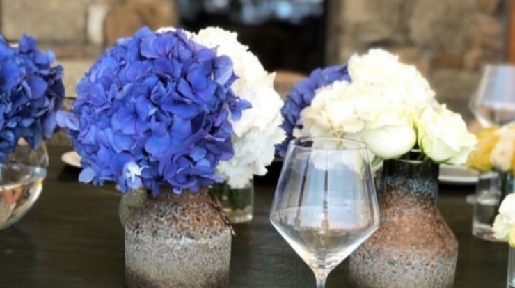 Το lunch υπερπαραγωγή επώνυμης Κύπριας στις φίλες της στο σπίτι της στη Μύκονο! [εικόνες] 