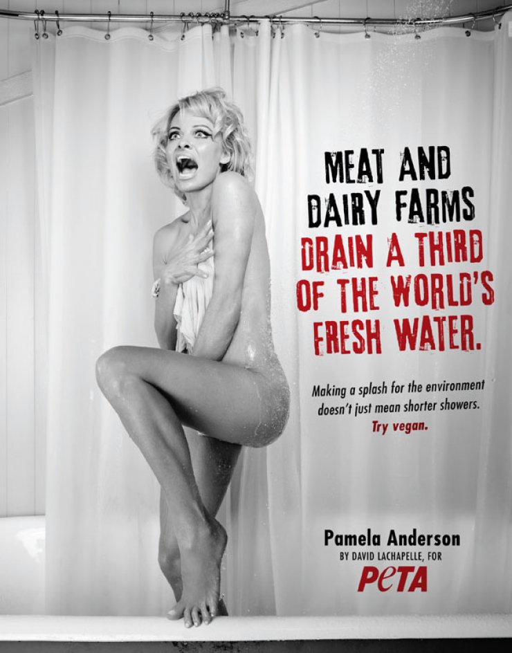 Η Pamela Anderson ξεγυμνώνεται για καλό σκοπό [εικόνα]